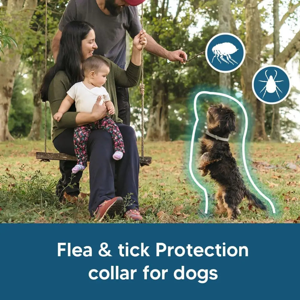 Effective Flea and Tick Collar for Small Dogs Long Lasting