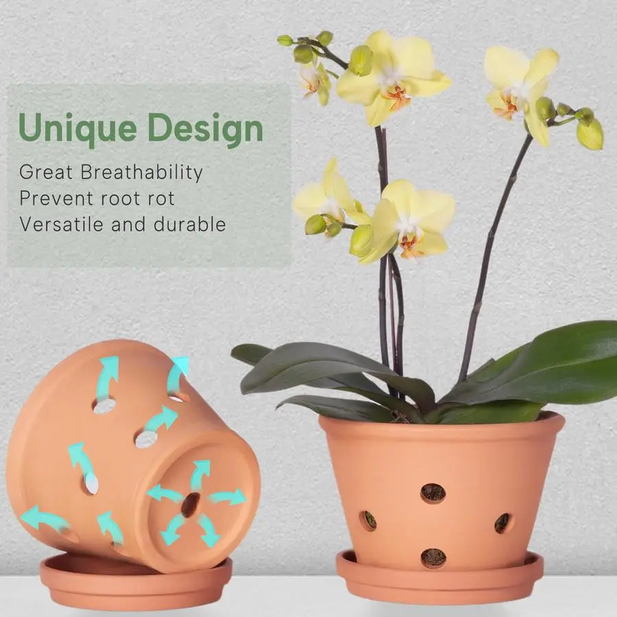 Terracotta Orchid Pots With Holes And Saucers 2 Pack