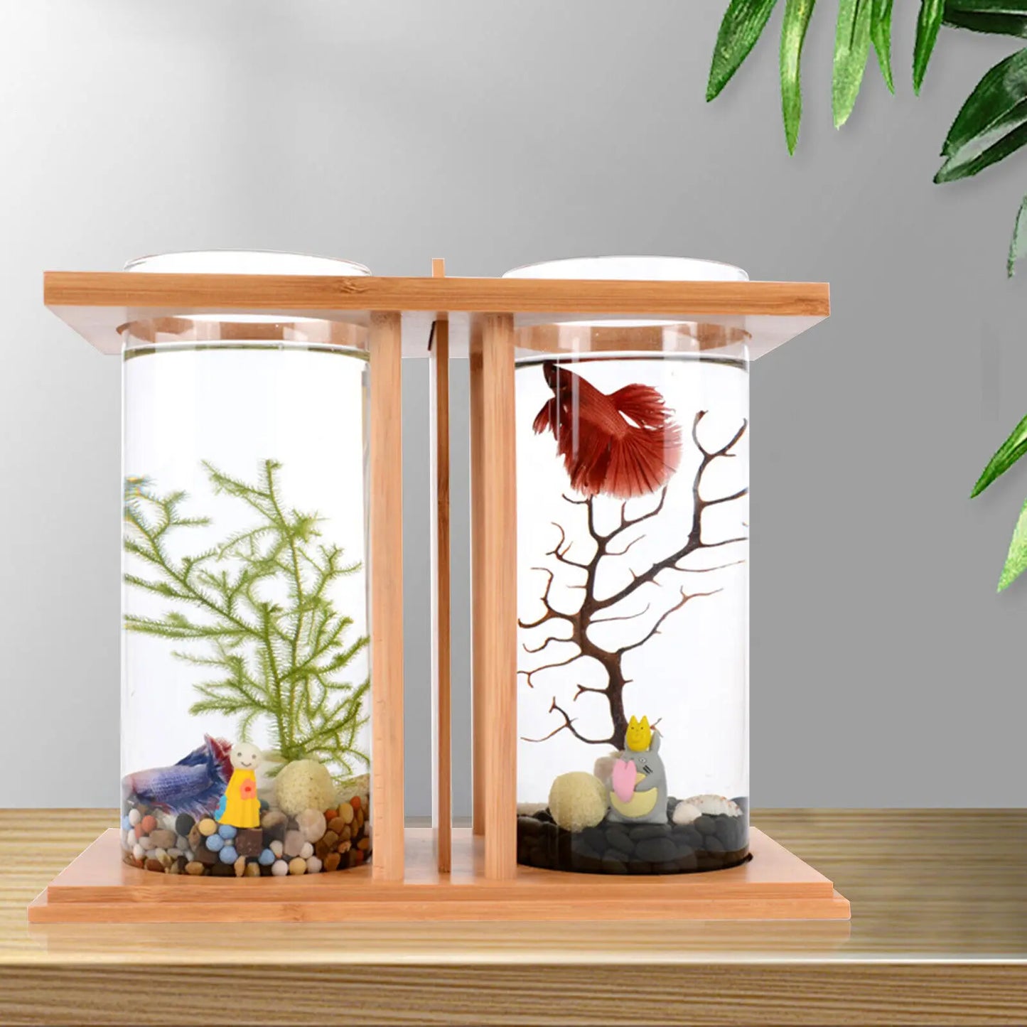 Glass Betta Tank With LED Light And Bamboo Base