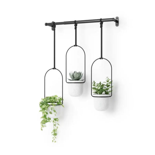 Triflora Hanging Planter for Window Indoor Herb Garden Set of 3