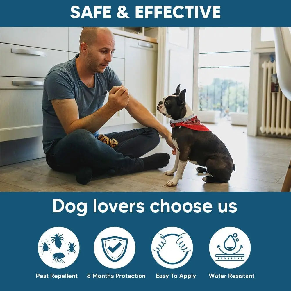 Effective Flea and Tick Collar for Small Dogs Long Lasting