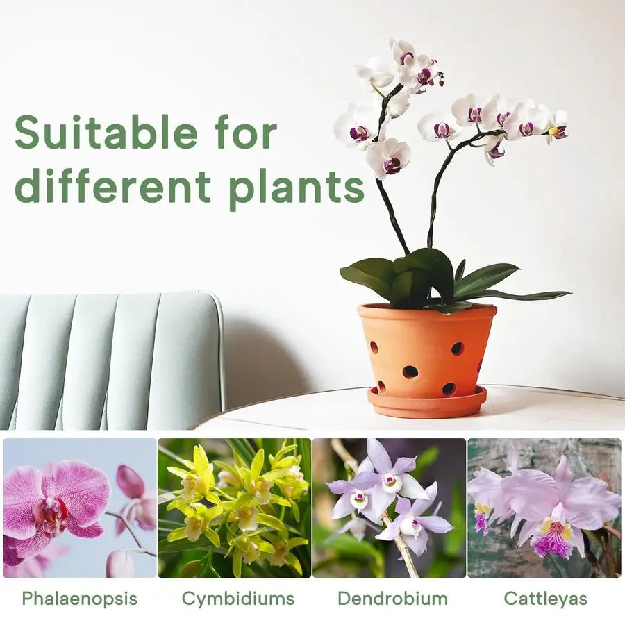 Terracotta Orchid Pots With Holes And Saucers 2 Pack