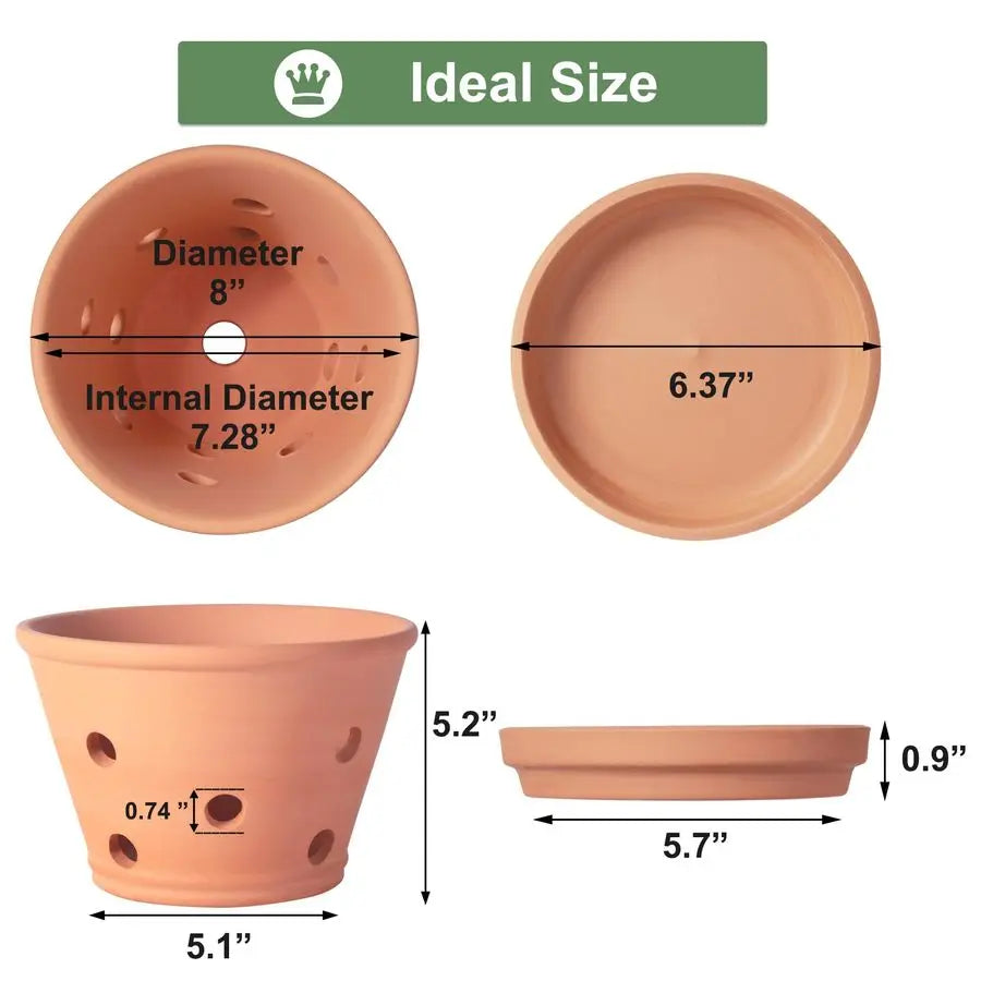 Terracotta Orchid Pots With Holes And Saucers 2 Pack
