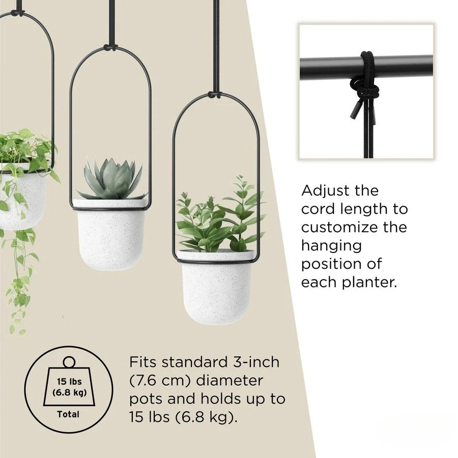 Triflora Hanging Planter for Window Indoor Herb Garden Set of 3