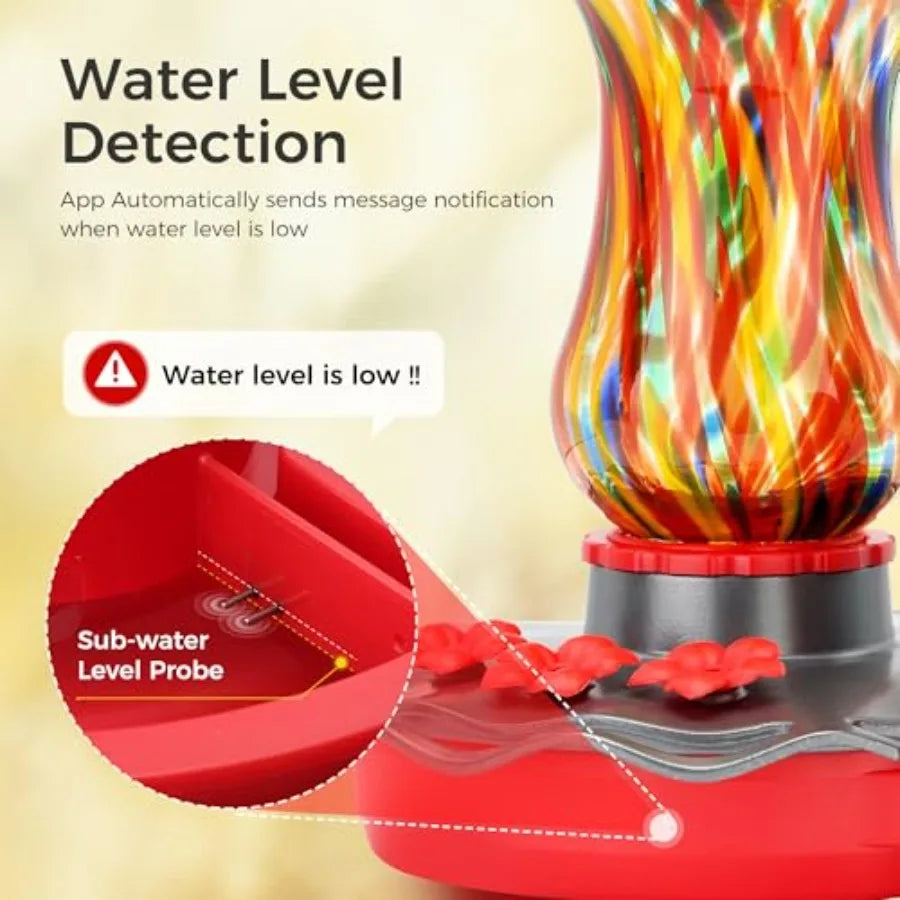 SHXI Glass Smart Hummingbird Feeder Camera Solar Powered 2K AI Water Detection