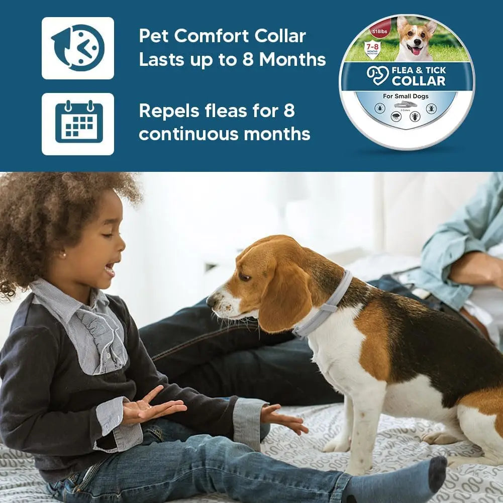 Effective Flea and Tick Collar for Small Dogs Long Lasting