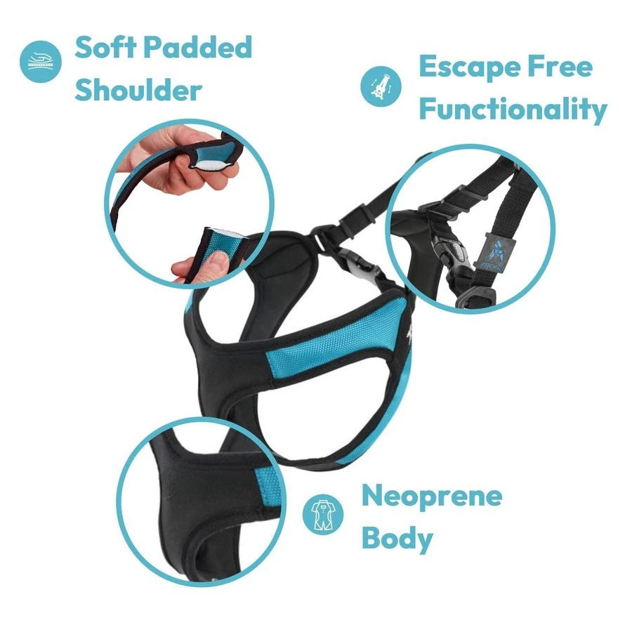 Easy Fit Step In Dog Harness For Small Dogs