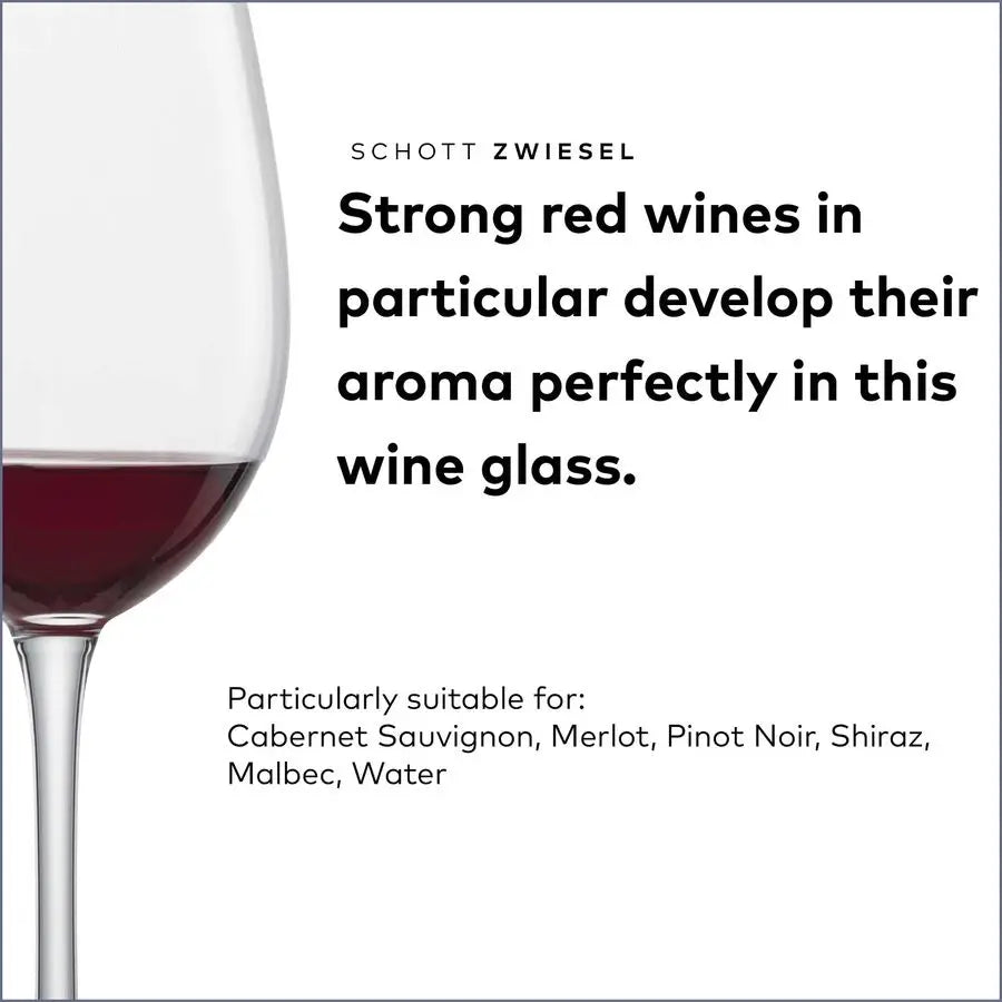 XMSJ Classic Crystal Wine Glass Set Dishwasher Safe Tritan Glasses