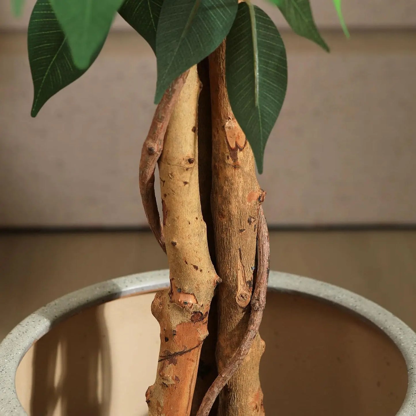 Artificial Ficus Tree With Wood Trunk In Plastic Pot