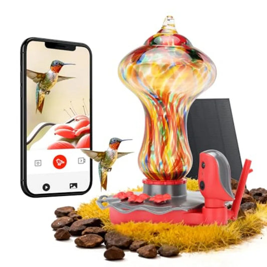 SHXI Glass Smart Hummingbird Feeder Camera Solar Powered 2K AI Water Detection