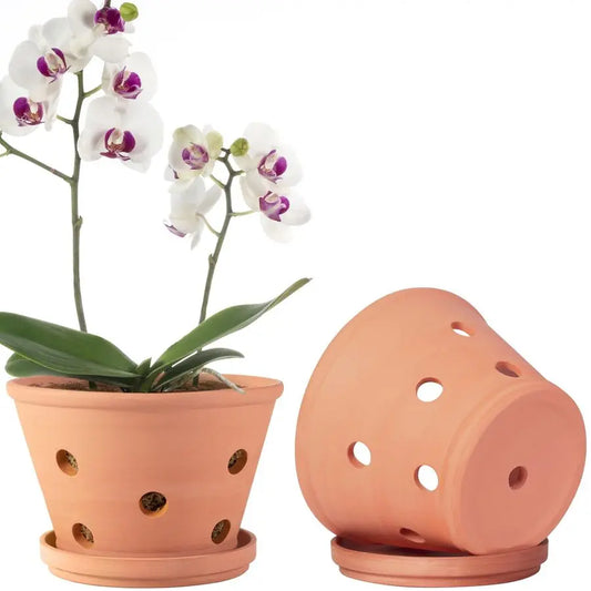 Terracotta Orchid Pots With Holes And Saucers 2 Pack