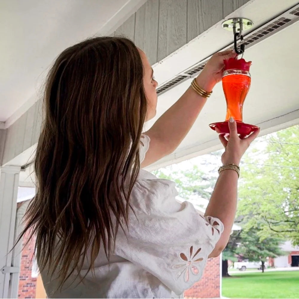 Glass Hummingbird Nectar Feeder With Bee Resistant Ant Moat