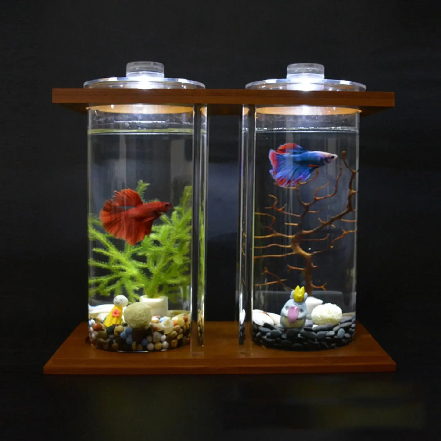 Glass Betta Tank With LED Light And Bamboo Base