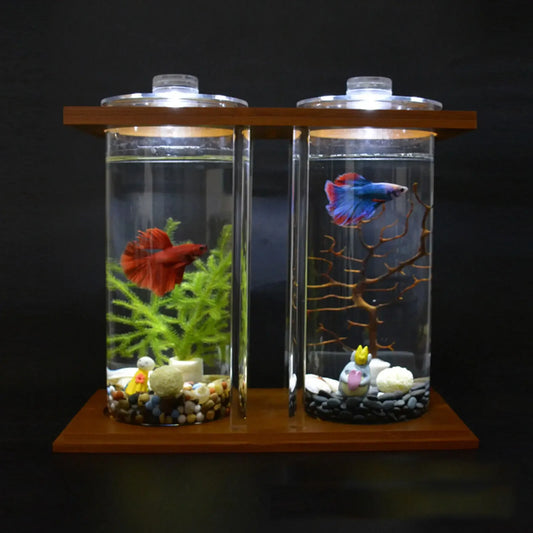 Glass Betta Tank With LED Light And Bamboo Base