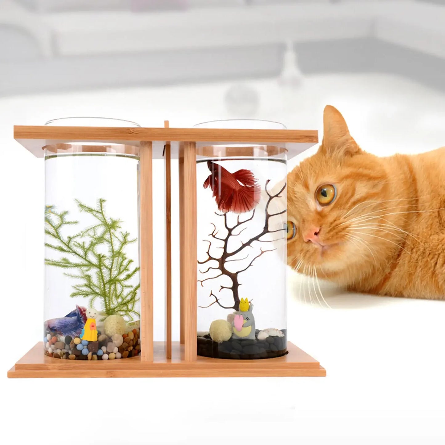 Glass Betta Tank With LED Light And Bamboo Base