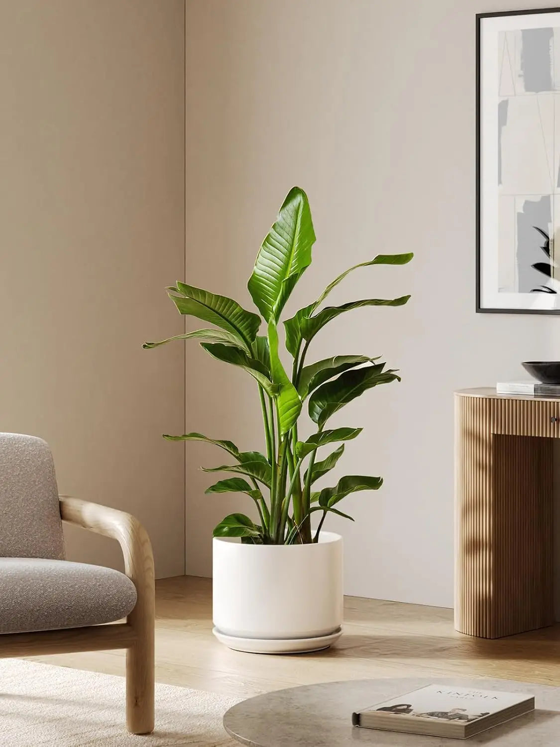 Ceramic Plant Pot With Drainage Holes Saucer For Home Office
