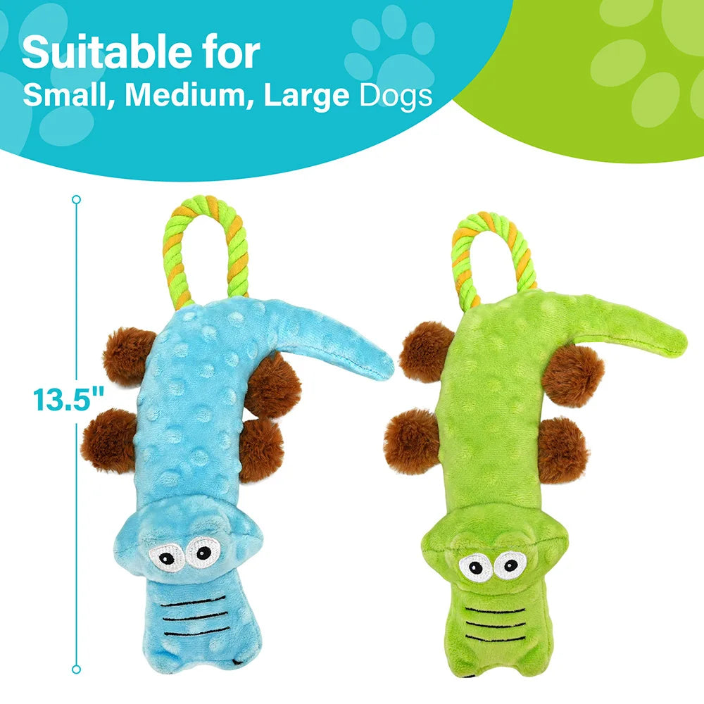 Dog Squeaky Toy 2 Pack Interactive Plush Tug of War Toys