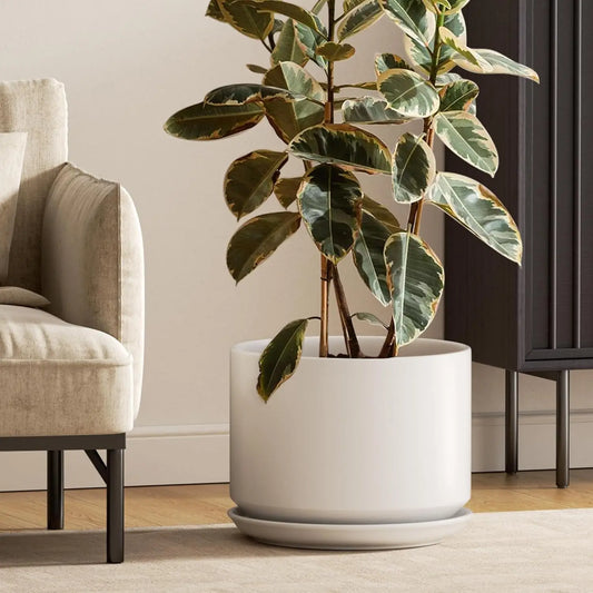 Ceramic Plant Pot With Drainage Holes Saucer For Home Office