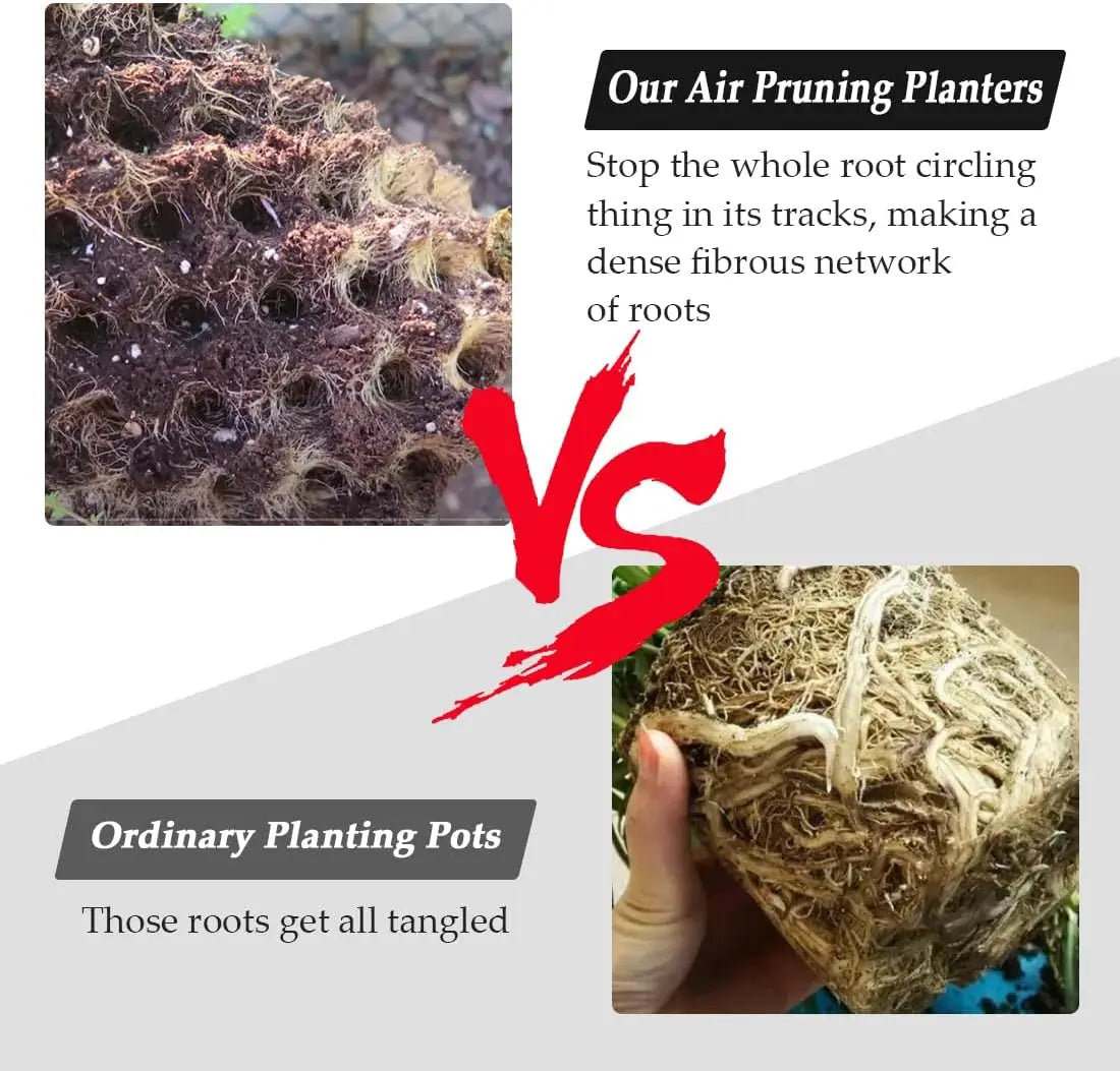 Air Pruning Plant Pots for Fruit and Vegetable Gardens