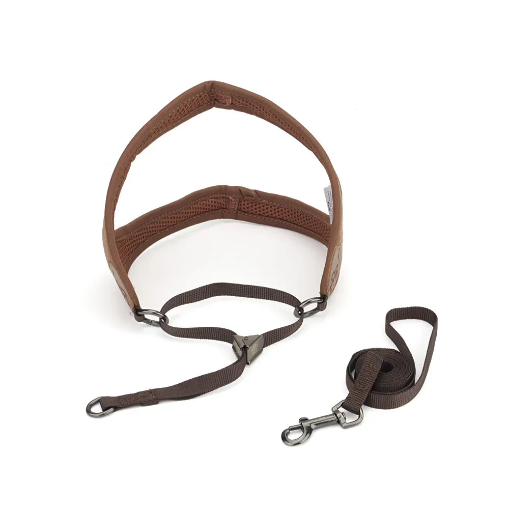 Vest Style Dog Harness And Leash Set For Comfortable Walking