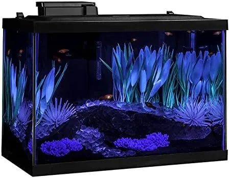 Aquarium Kit With LED Lighting And Decor