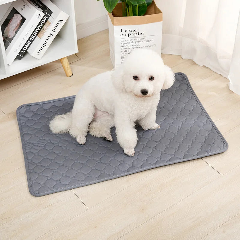 NONECN Reusable Dog Pee Pad Washable Absorbent Training Mat