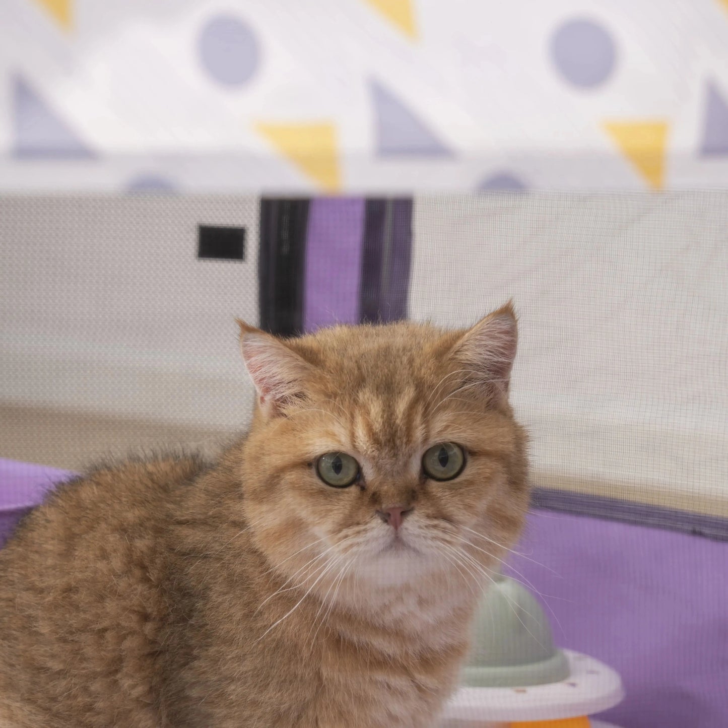 NONECN Foldable Mesh Ventilated Circular Cat Nest For Indoor Outdoor Use
