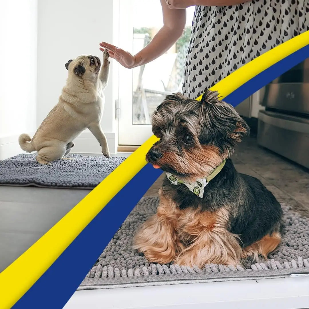 Super Absorbent Microfiber Dog Door Mat For Muddy Paws
