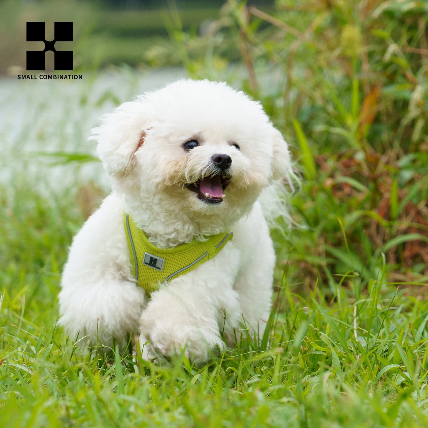 Dog Harness Leash Set Reflective Adjustable For Dogs