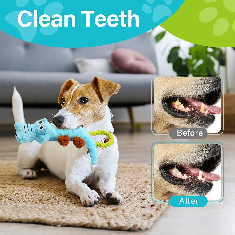 Dog Squeaky Toy 2 Pack Interactive Plush Tug of War Toys