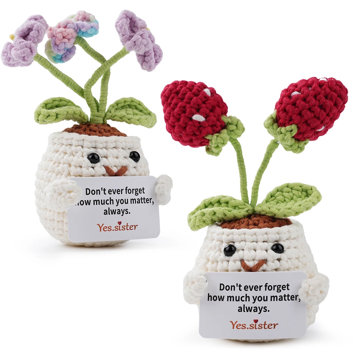 Beginner Crochet Kit Amigurumi Starter Set With Video Tutorials