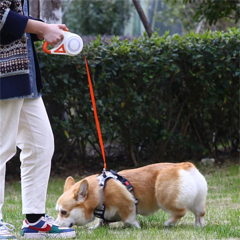 Automatic Retractable Dog Leash With LED Flashlight Nylon Lead