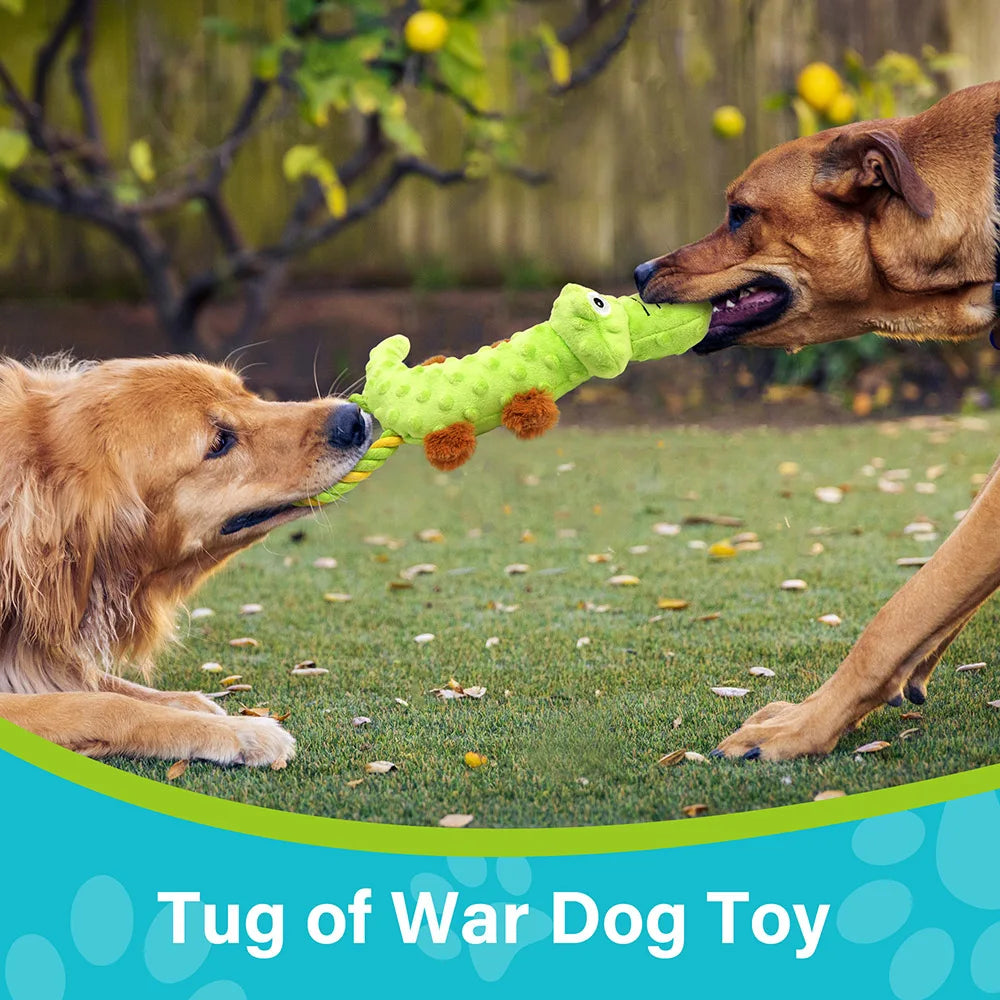 Dog Squeaky Toy 2 Pack Interactive Plush Tug of War Toys