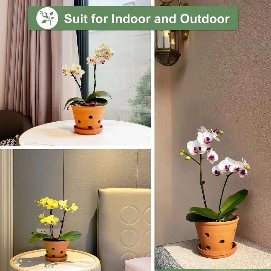 Terracotta Orchid Pots With Holes And Saucers 2 Pack