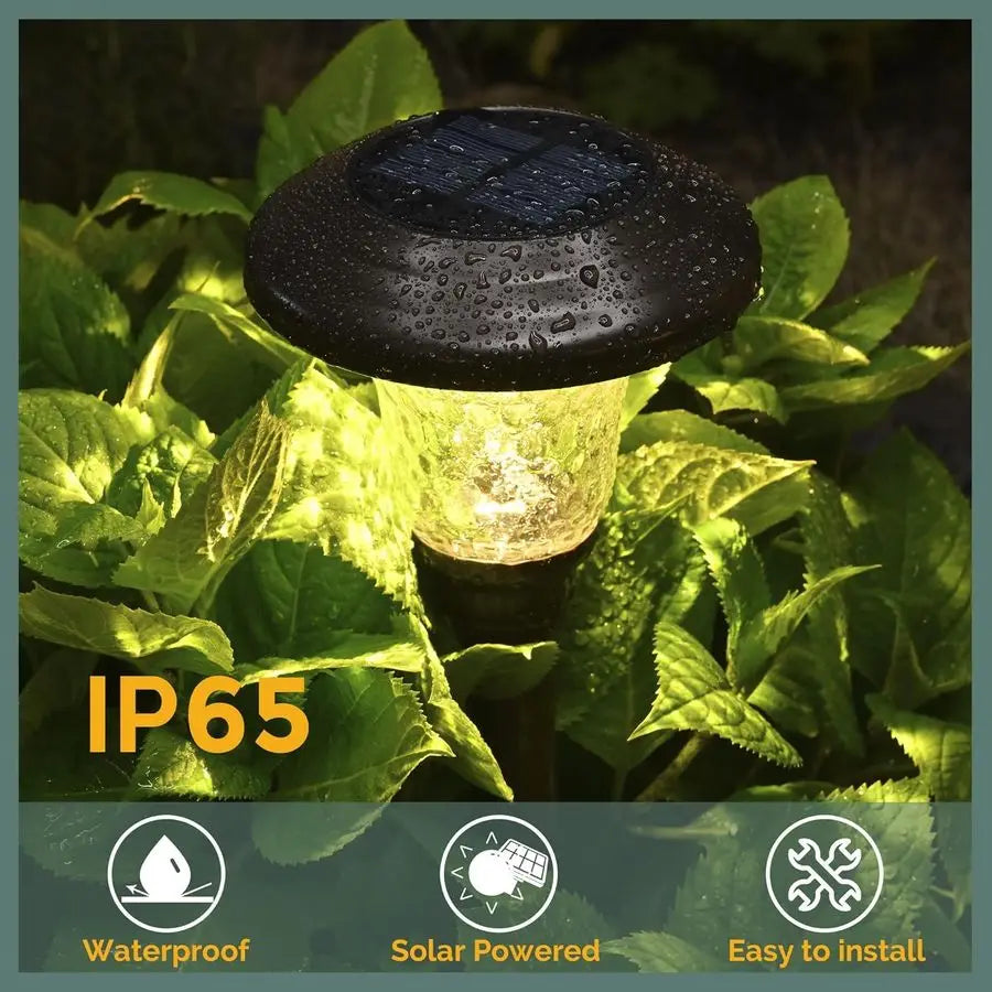 Solar Pathway Lights Pack Waterproof Outdoor Garden Lights Warm White