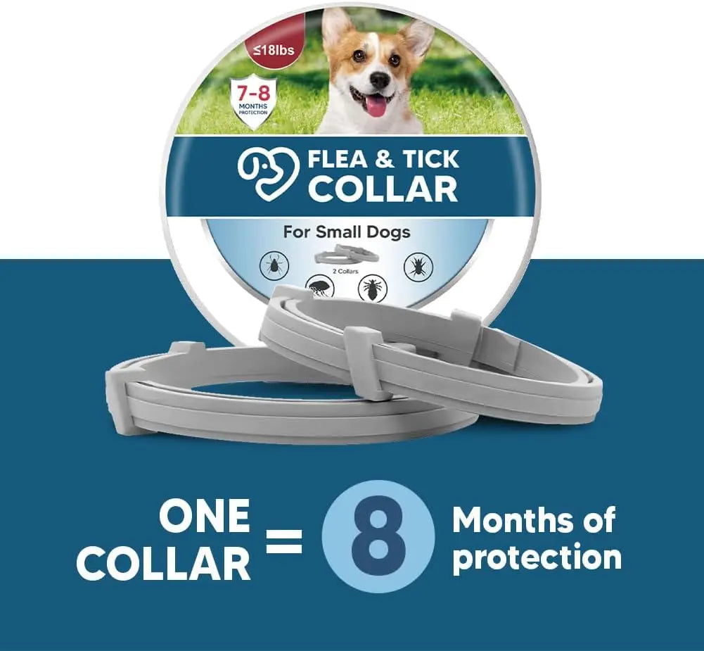 Effective Flea and Tick Collar for Small Dogs Long Lasting