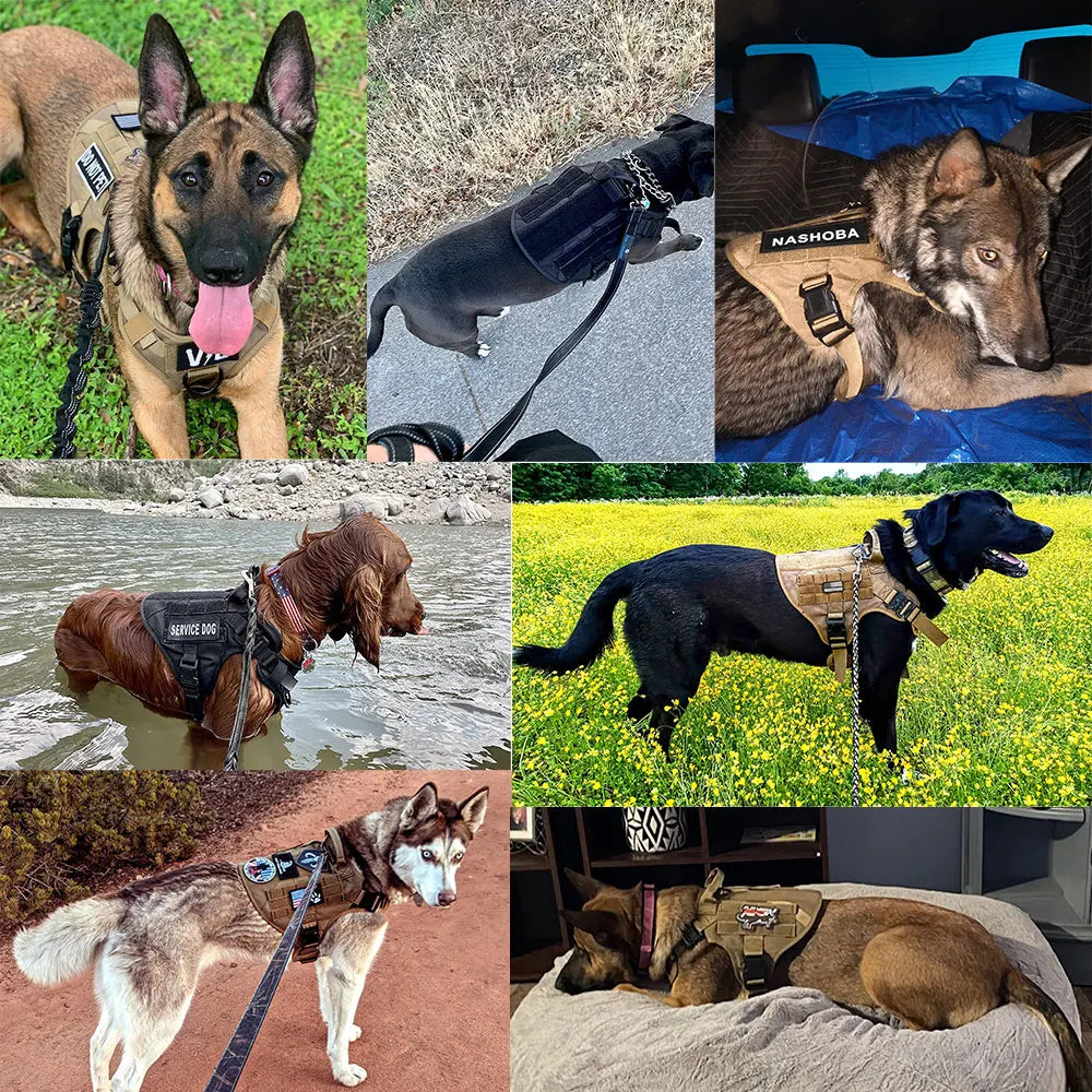 PETRAVELCN Military Dog Harness Vest Set For Malinois Training