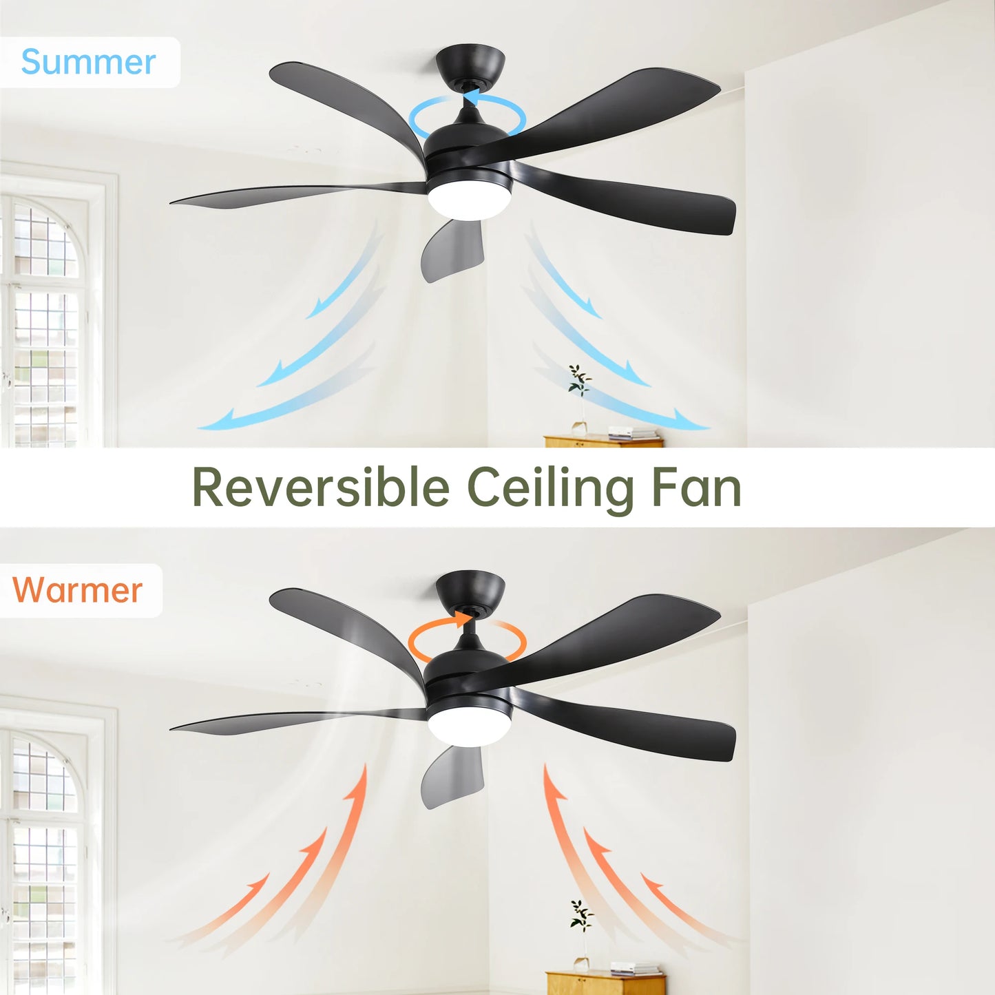 Sofucor Modern Ceiling Fan With LED DC Motor And Remote