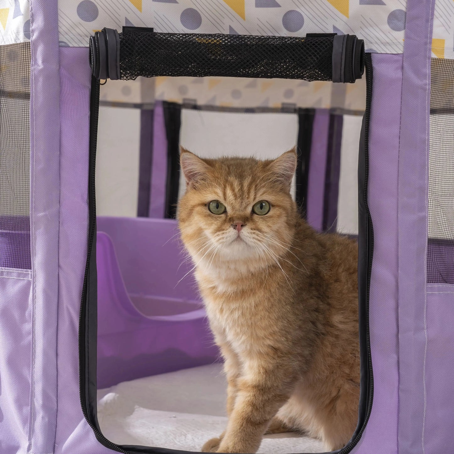 NONECN Foldable Mesh Ventilated Circular Cat Nest For Indoor Outdoor Use